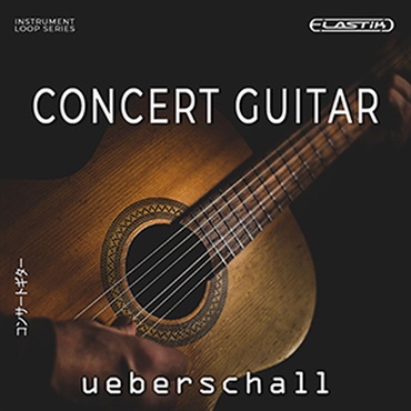 CONCERT GUITAR(オンライン納品)(2時間以内に納品)