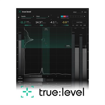 TRUE:LEVEL(オンライン納品)(2時間以内に納品)