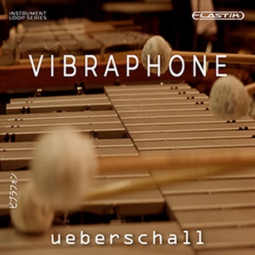 VIBRAPHONE(オンライン納品)(2時間以内に納品)