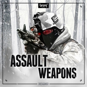 ASSAULT WEAPONS - DESIGNED(オンライン納品)(2時間以内に納品)
