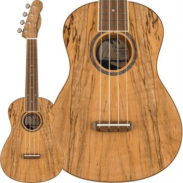 【数量限定特価】ZUMA EXOTIC CONCERT UKULELE (Spalted Maple) フェンダー