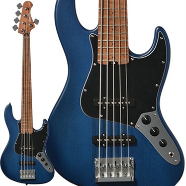 WL5-STD/RSM (BLU-S)【値上げ前旧価格品】