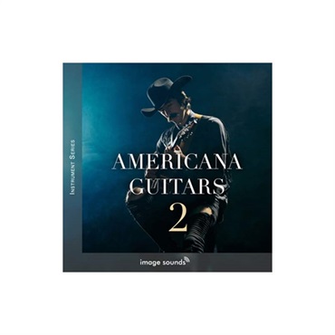 AMERICANA GUITARS 2(オンライン納品)(2時間以内に納品)