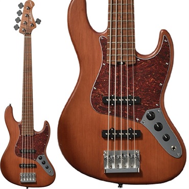 WL5-STD/RSM (BR-S)【値上げ前旧価格品】
