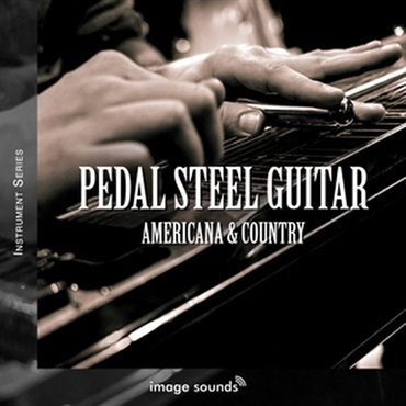 PEDAL STEEL GUITAR - AMERICANA & COUNTRY(オンライン納品)(2時間以内に納品)