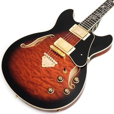 Artcore Expressionist AS93QMSP-DBS (Dark Brown Sunburst) [SPOT MODEL]