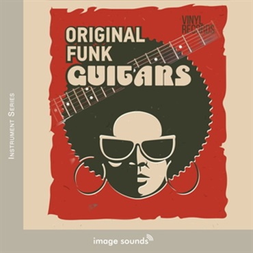 FUNK GUITARS(オンライン納品)(2時間以内に納品)
