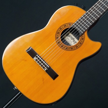 USED 中古 GALLAGHER AN2 【SN.8857584】
