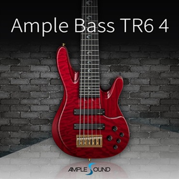 AMPLE BASS TR6 4(オンライン納品)(2時間以内に納品)