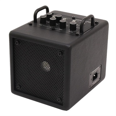 NANOBASS X4 (BLACK)