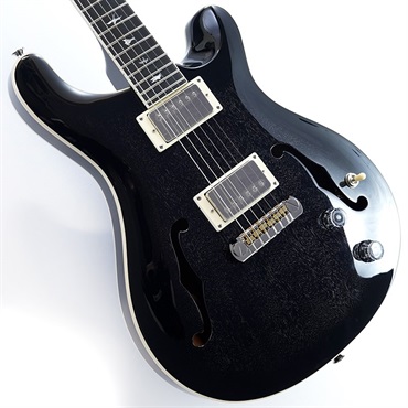 SE Hollowbody Standard (Dog Hair Smokeburst)