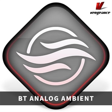 BT ANALOG AMBIENT(オンライン納品)(2時間以内に納品)