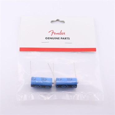 【夏のボーナスセール】 Capacitor - AE AX 22uF at 500V +50%-， Package of 2(#0024819049)