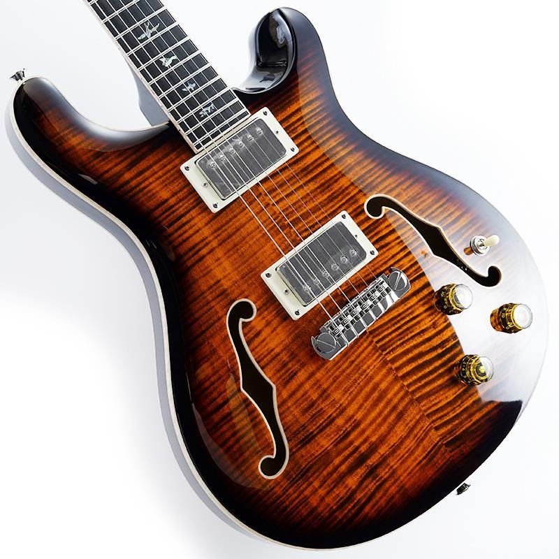 SE Hollowbody II Piezo (Orange Tiger Smokeburst)の商品画像