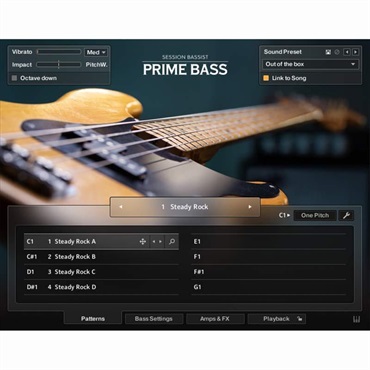 【ネイティブインストルメンツSummer Sale 2026！】Session Bassist - Prime Bass(オンライン納品)(2時間以内に納品)