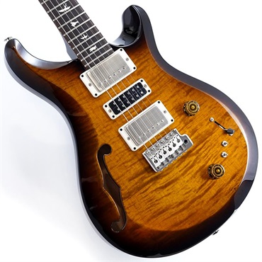 S2 Special Semi-Hollow (Black Amber) SN.S2079956