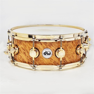 USED 中古 [Collector's Pure Maple Snare Drum 14×5.5 / Standard Shell / Exotic Twisted Mapa Burl]