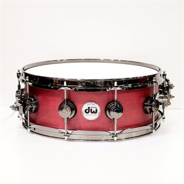 USED 中古 Collector's Pure Maple Snare Drum 14''×5'' - Cherry Satin Oil / Black NIckel Hardware