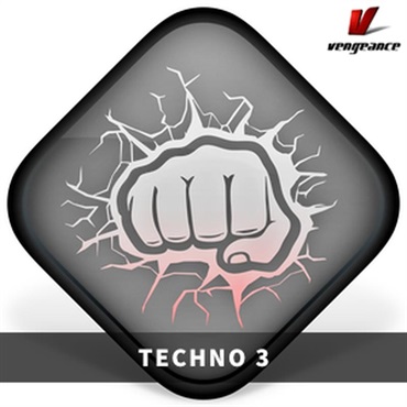TECHNO 3(オンライン納品)(2時間以内に納品)