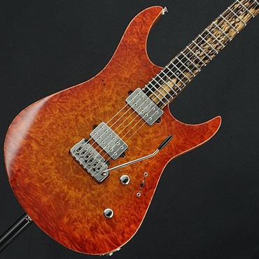 USED 中古 Koca Guitars Light， 6 String (Burl Maple Top / Pale Moon Ebony / Birds Eye Maple Neck )
