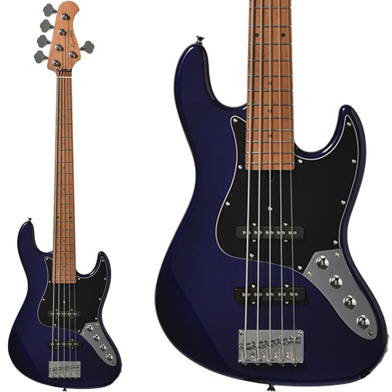 WJB5-1DX-AC RSM/M (IPM)の商品画像