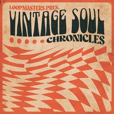 VINTAGE SOUL CHRONICLES(オンライン納品)(2時間以内に納品)