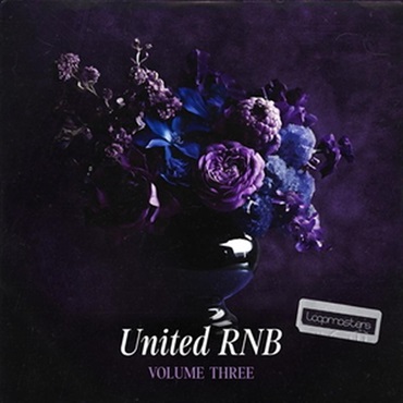 UNITED RNB VOL 3(オンライン納品)(2時間以内に納品)