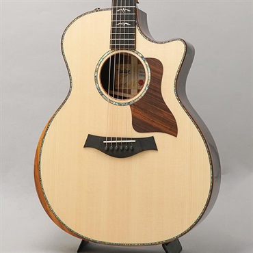 TAYLOR Custom GA Rosewood/Lutz Spruce [NAMM 2025 Model C14ce B5019] テイラー