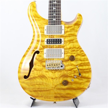Ikebe 50th Anniversary Wood Library Special Semi-Hollow (Honey Gold) [SN.0401651] 【2025年生産品】