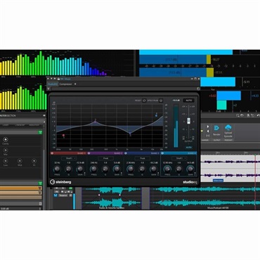 Steinberg WaveLab Cast 2 (ウェイブラボ)(ポッドキャスト)(音声編集ソフト)(オンライン納品)(2時間以内に納品)