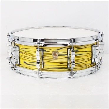 【創業50周年大決算SALE】LS401XXA2 [Classic Maple Snare Drum 14×5/Lemon Oyster]【店頭展示特価品】