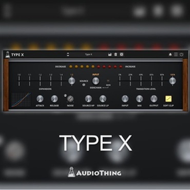 TYPE X(オンライン納品)(2時間以内に納品)