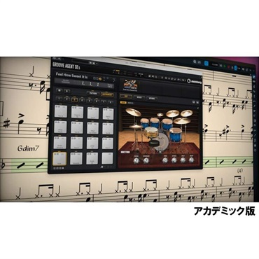 Dorico Elements 6 Education (アカデミック版)(譜面作成ソフト)(スタインバーグ)(ドリコ)(DTM)(オンライン納品)(2時間以内に納品)