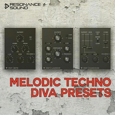 MELODIC TECHNO DIVA PRESETS(オンライン納品)(2時間以内に納品)
