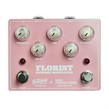 Benson Amps Florist （フローリスト ディレイ モジュレーション ベンソン)