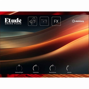 Etude (スタインバーグ)(エチュード)(ピアノ音源)(オンライン納品)(2時間以内に納品)