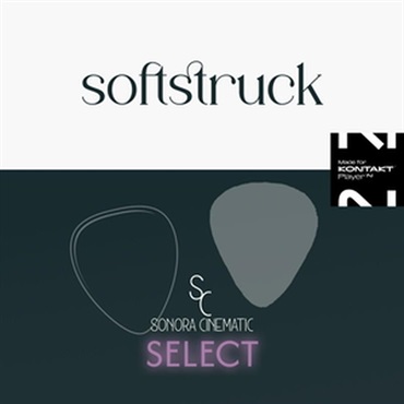 Softstruck / Upgrade(オンライン納品)(2時間以内に納品)