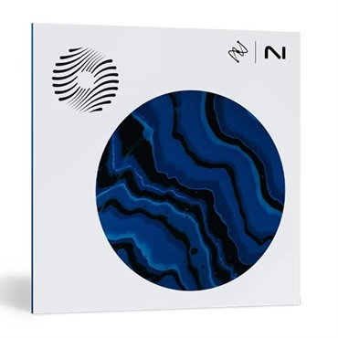 Ozone 12 Elements (アイゾトープ)(オゾン12)(マスタリング)(オンライン納品)(2時間以内に納品)
