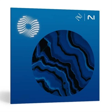 Ozone 12 Standard (アイゾトープ)(オゾン12)(マスタリング)(オンライン納品)(2時間以内に納品)
