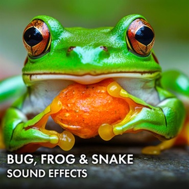 Bug， Frog & Snake Sound Effects(オンライン納品)(2時間以内に納品)