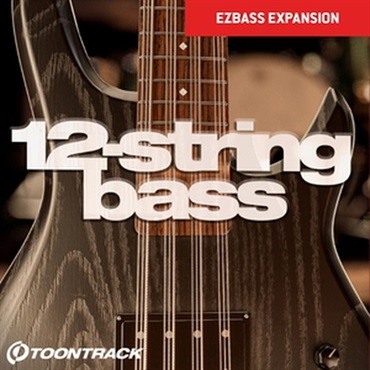 【トゥーントラックドラム系スーパーセール！】EBX - 12-String Bass (EBX拡張ライブラリ)(オンライン納品)(2時間以内に納品)