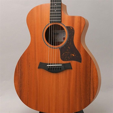 TAYLOR 24ce テイラー