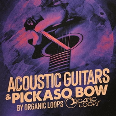 Acoustic Guitars & Pickaso Bow (アコースティックギター)(サンプルパック)(オンライン納品)(2時間以内に納品)