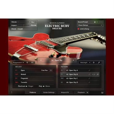 【ネイティブインストルメンツSummer Sale 2026！】Session Guitarist - Electric Ruby Deluxe (ネイティブインストルメンツ)(KONTAKTインストゥルメント)(オンライン納品)(2時間以内に納品)