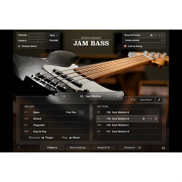 Native Instruments Session Bassist - Jam Bass (ネイティブインストルメンツ)(KONTAKTインストゥルメント)(オンライン納品)(2時間以内に納品)