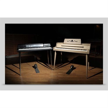 Electric Keys - Jade (ネイティブインストルメンツ)(KONTAKTインストゥルメント)(オンライン納品)(2時間以内に納品)
