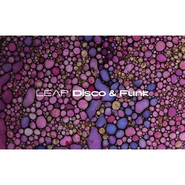 【ネイティブインストルメンツSummer Sale 2026！】Leap Expansion - Disco and Funk (ネイティブインストルメンツ)(リープエクスパンション)(オンライン納品)(2時間以内に納品)