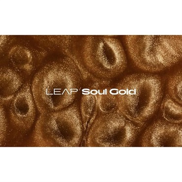 【ネイティブインストルメンツSummer Sale 2026！】Leap Expansion - Soul Gold (ネイティブインストルメンツ)(リープエクスパンション)(オンライン納品)(2時間以内に納品)