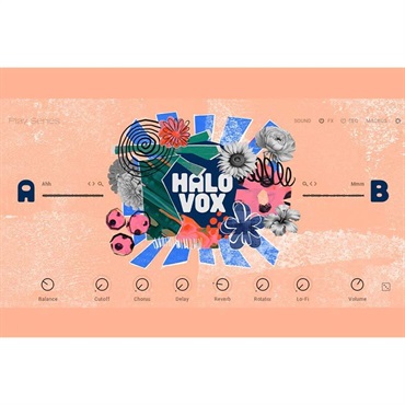 Native Instruments 【ネイティブインストルメンツSummer Sale 2026！】Halo Vox (ネイティブインストルメンツ)(Play Series音源)(オンライン納品)(2時間以内に納品)