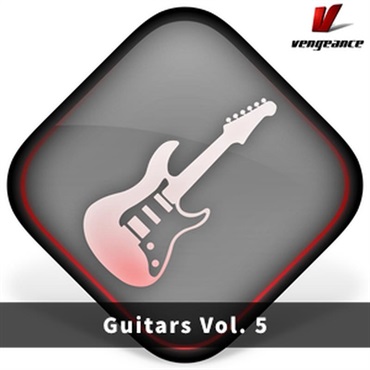 Guitars Vol.5 (ギターマルチループ)(AVENGER2専用拡張パック)(オンライン納品)(2時間以内に納品)
